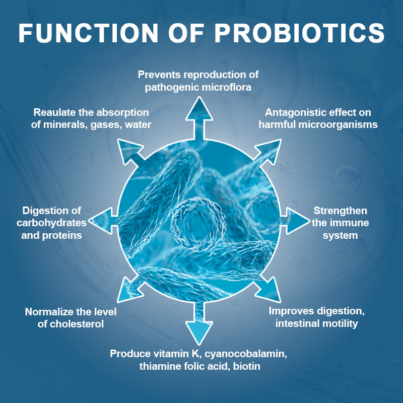 Lactobacillus Acidophilus Probiotic,Supports Digestive Absorption,50 Billion CFU-10 Diverse Strains Plus Organic Prebiotic,Designed for Overall Digestive Health and Supports Occasional Constipation,Diarrhea,Gas&Bloating