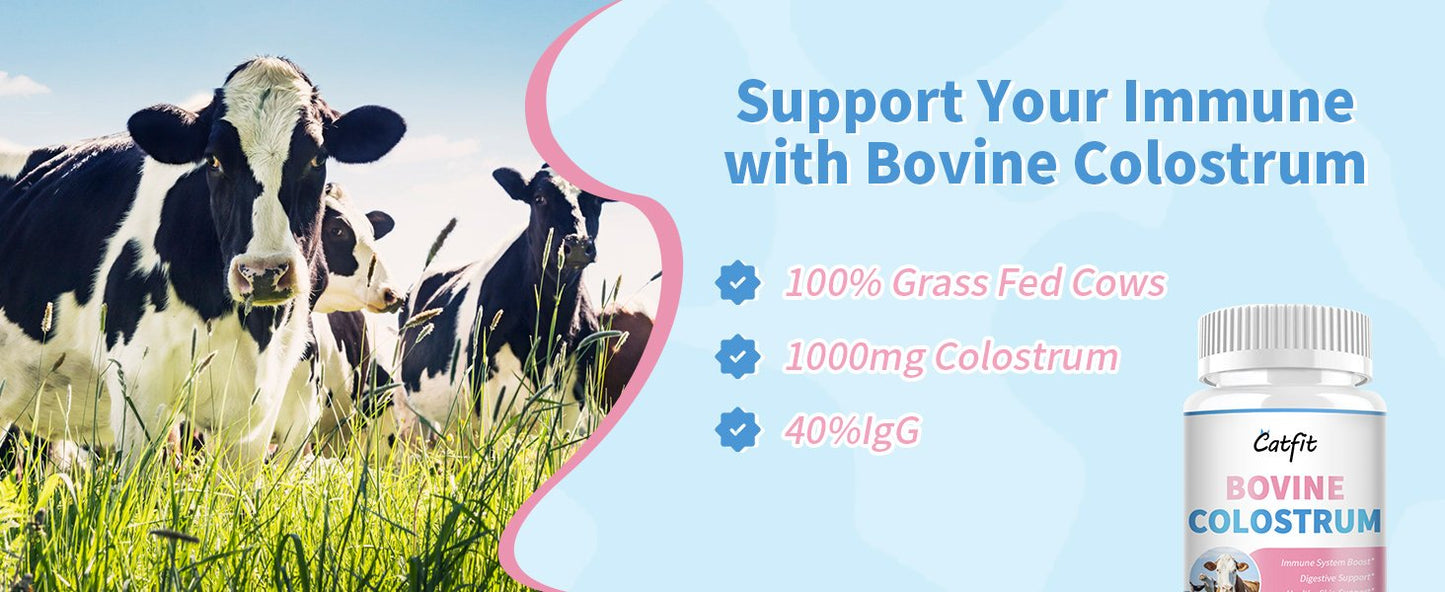 Bovine Colostrum Supplement Capsules for Hair and Nail Growth