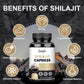 Shilajit Capsules Premium Fulvic Acid 400 mg Ultra Concentrated Extract 60 Trace Minerals Promotes Cellular Physical Brain Health Increases Peak Energy Levels Enhances Memory