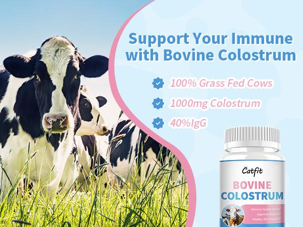 Bovine Colostrum Supplement Capsules for Hair and Nail Growth