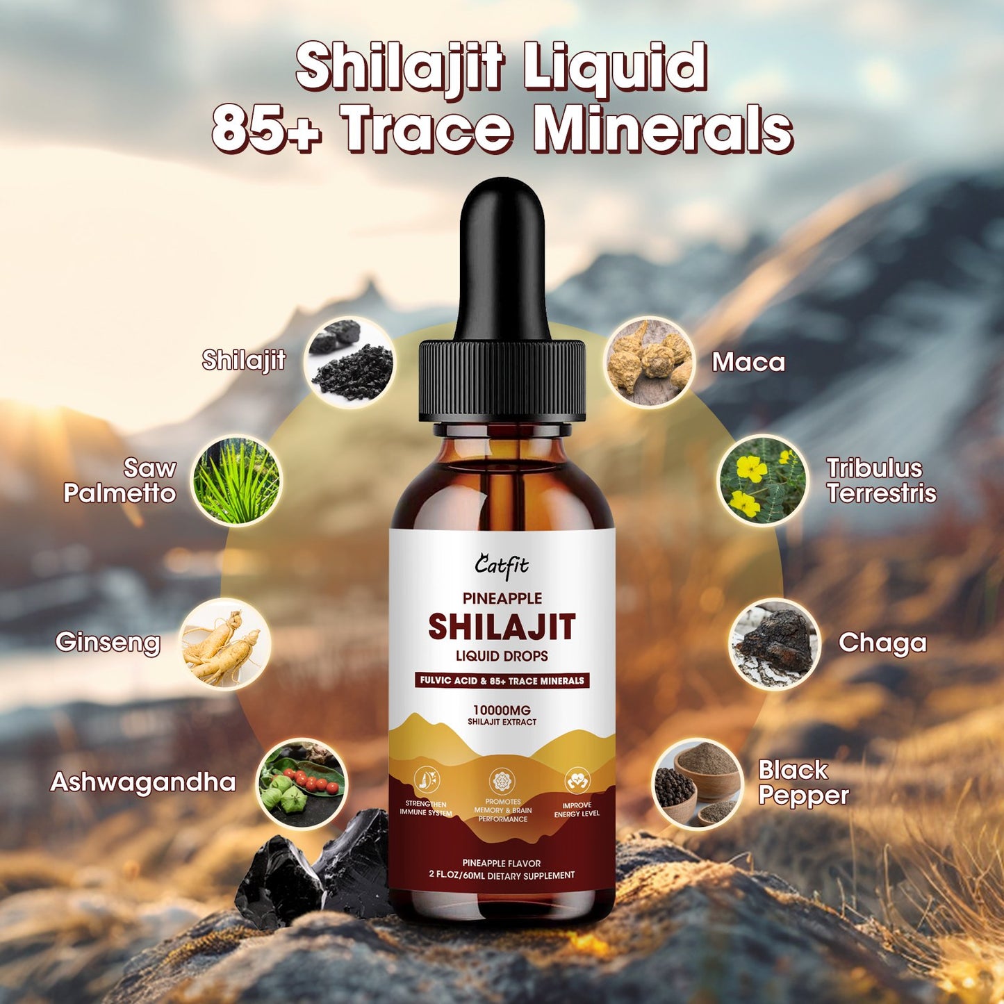 Catfit Shilajit Liquid Drops 2 Packs