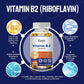 Catfit B2 300mg Veg Capsules Vitamin B2 Riboflavin Food Supplement & Vitamins for Immune System Anti-Infection