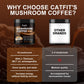 (2 Pack) Mushroom Coffee Powder, 10 Mushroom Blend- Lion's Mane, Chaga, Cordyceps, Brain Supplements with Arabica Coffee, Ashwagandha, L-Theanine for Energy, Focus, Memory and Immunity